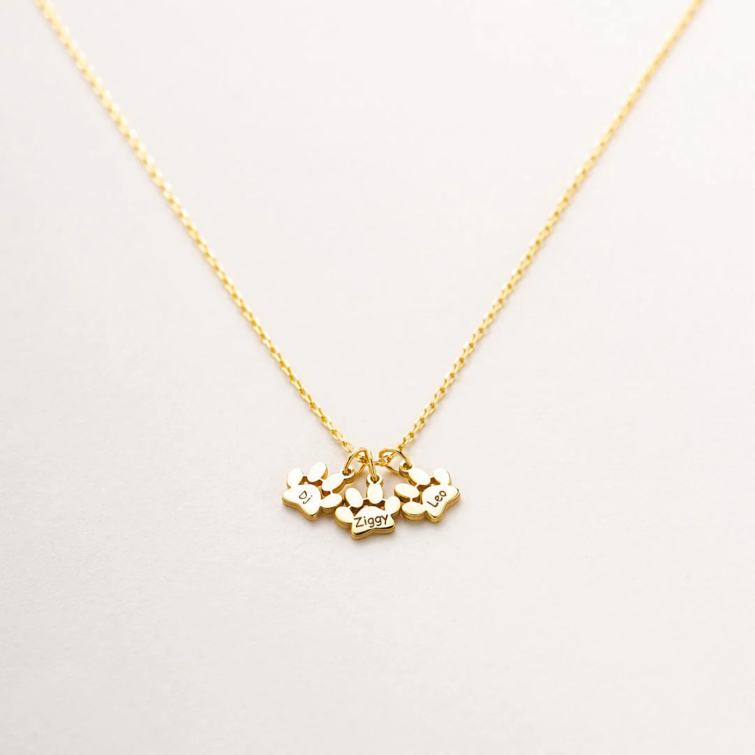 Pet Jewelry for Animal Lovers