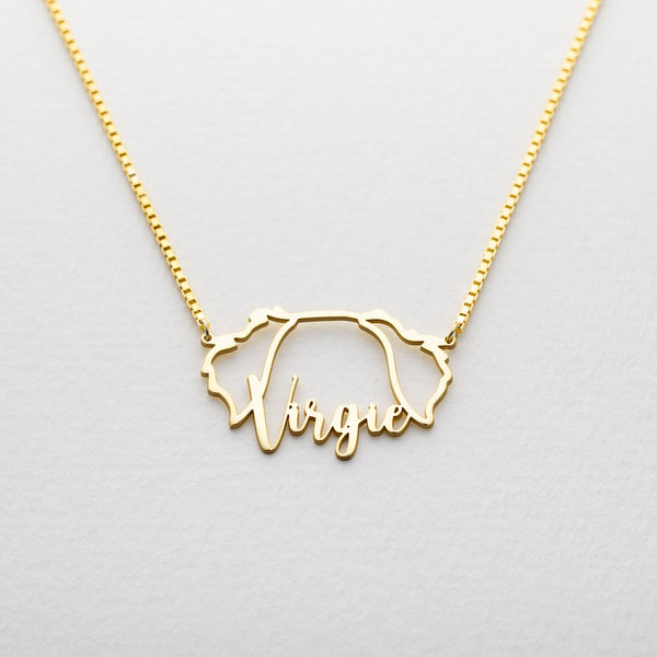 dog necklace for pet