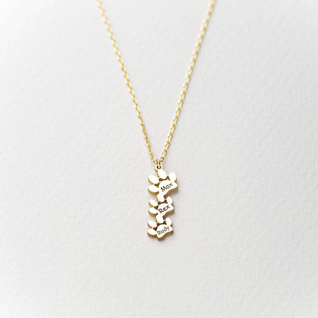 Buy Name Necklace for Multiple Pets
