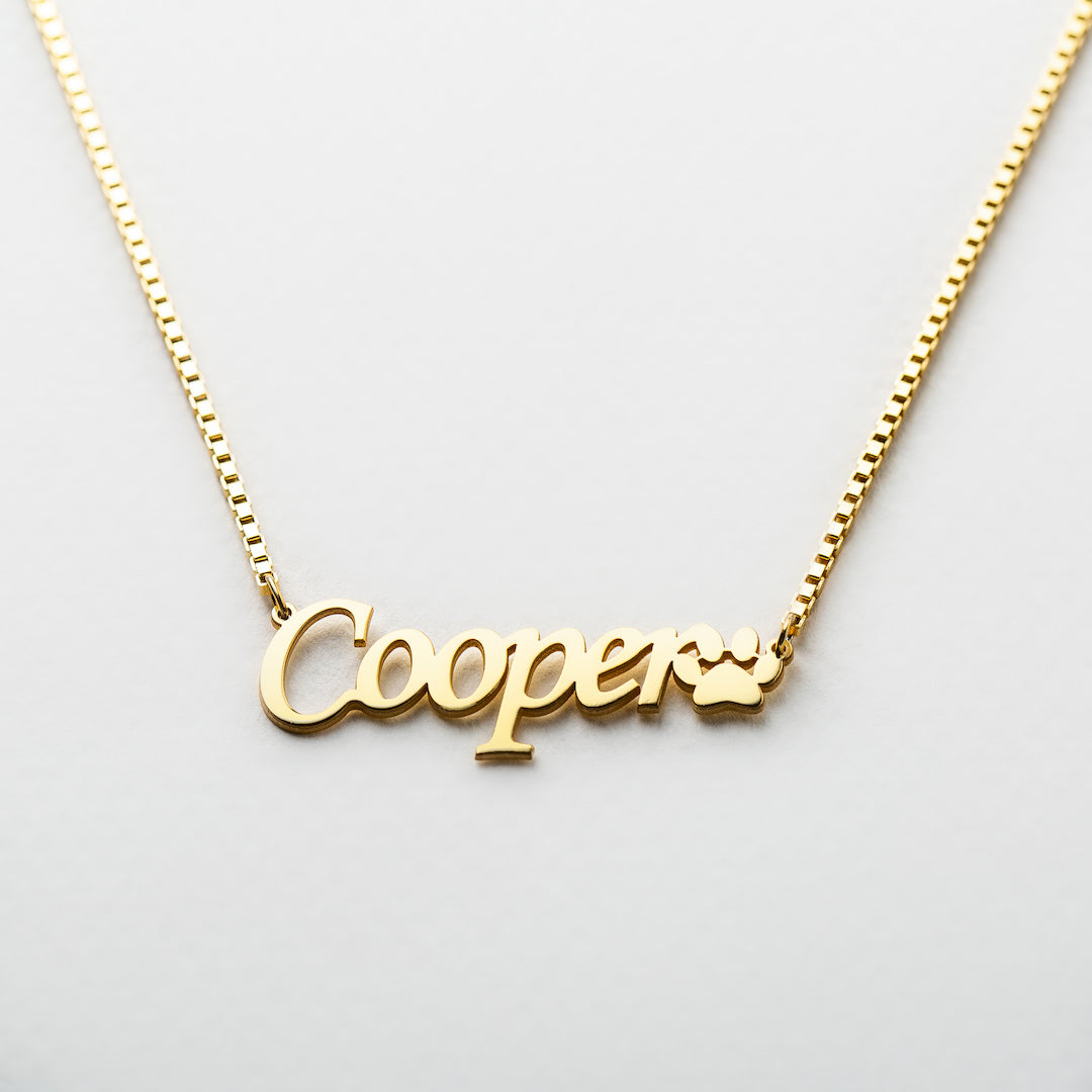 Buy Paw Name Necklace with Box Chain