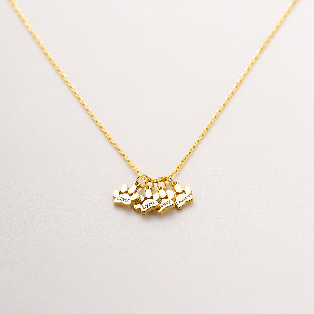 Pet Keepsake Custom Necklace