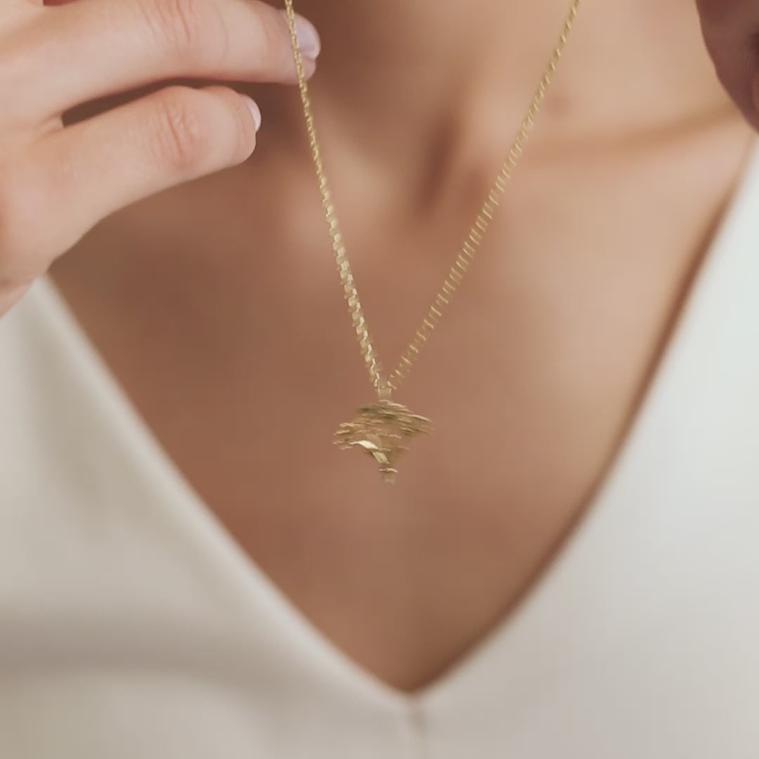 Birthflower family gift necklace video