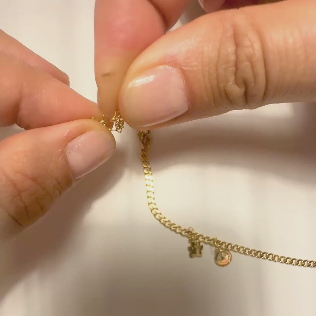 Charms in a curb Chain
